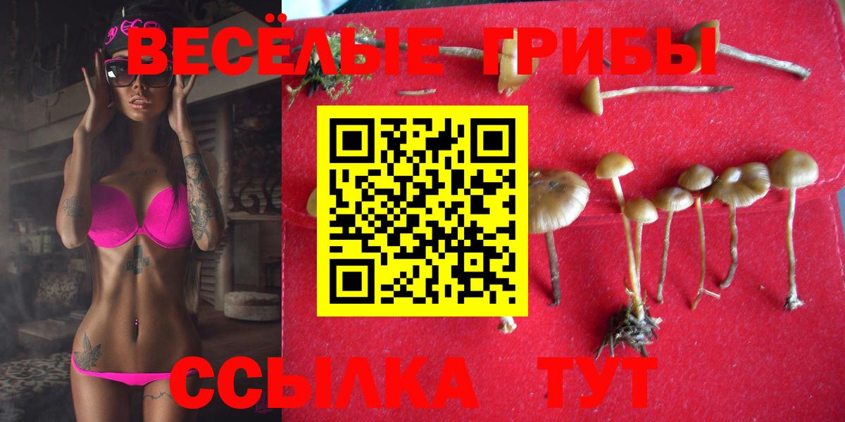 Псилоцибиновые грибы MAGIC MUSHROOMS  Вход с VPN  Карабулак 