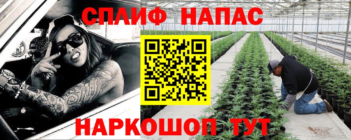 Каннабис THC 21%  Бошки Шишки AK-47  Карабулак  Каннабис конопля  Вход с VPN 